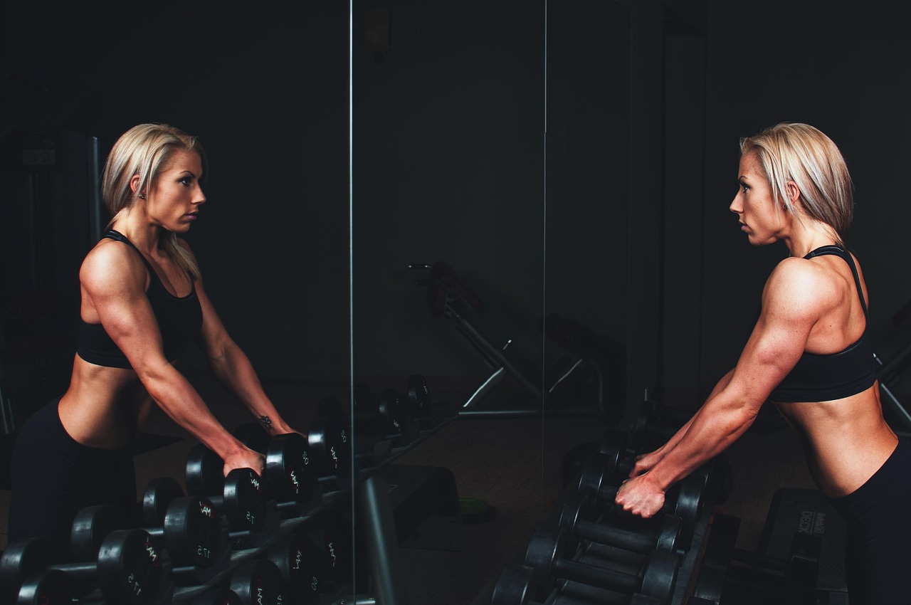 Scorchpower Fitness Club collection